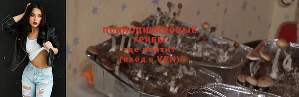 МДПВ Алзамай