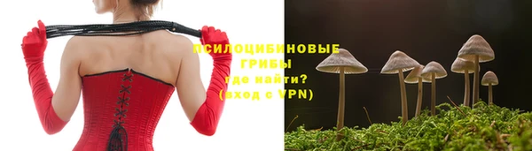 соль курить ск Алексин