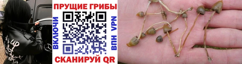 Галлюциногенные грибы мицелий  kraken ТОР  Учалы  купить  сайты 